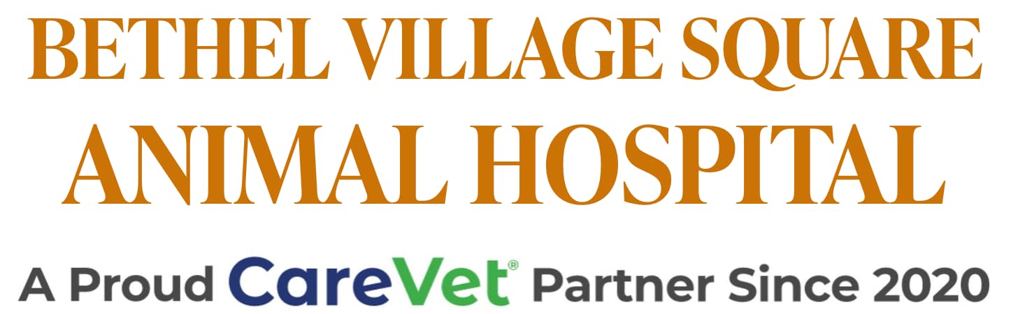Bethel Village Square Animal Hospital Logo